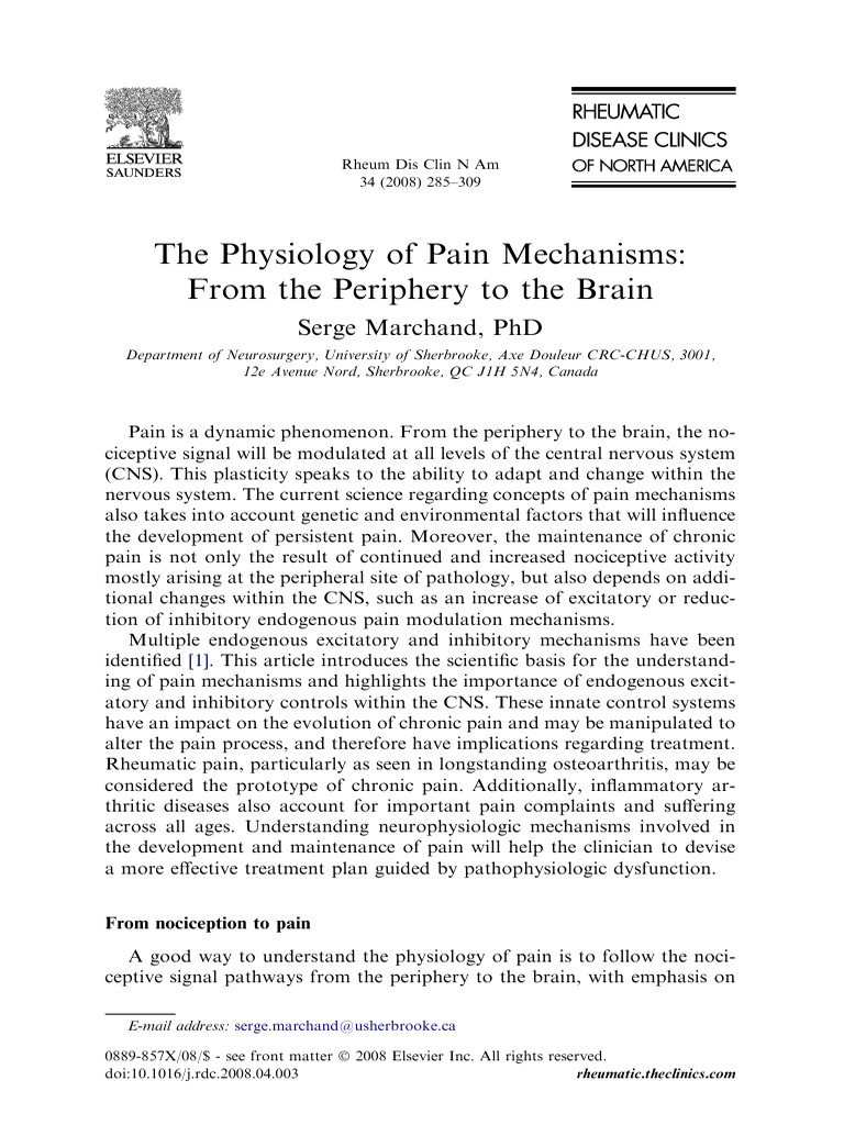 7 - Pain Mechanisms Periphery To The Brain | PDF | Pain | Thalamus
