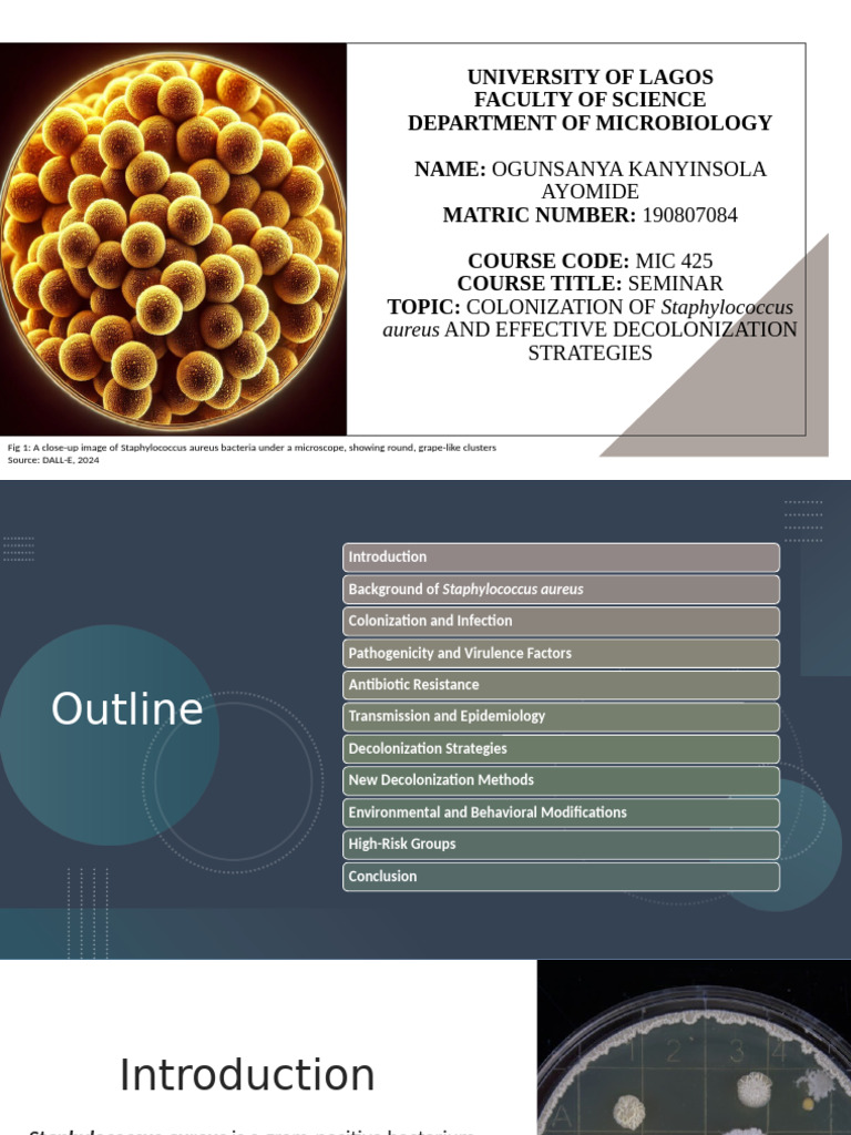 Kanyin's Presentation Updated | PDF | Staphylococcus Aureus | Infection