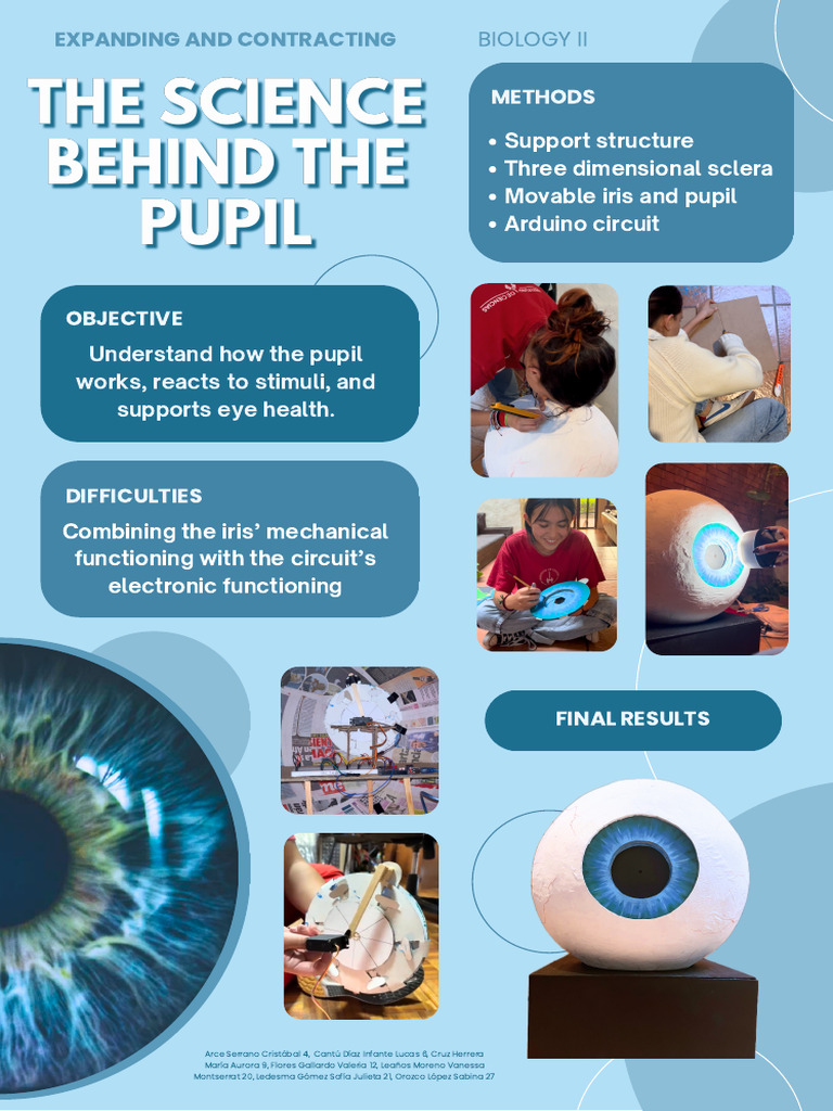 POSTER The Science Behind The Pupil, Info | PDF