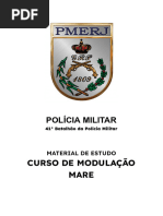 Códigos Q e 10 da Polícia no GTA RP | PDF