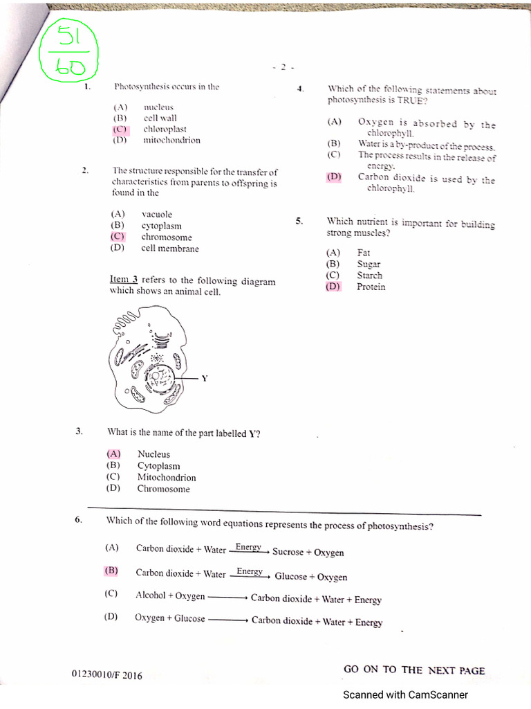 Integrated Science 2016 Correction | PDF