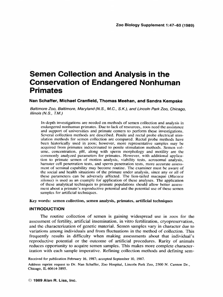 Semen Collection in Endangered Primates | PDF | Ejaculation | Semen