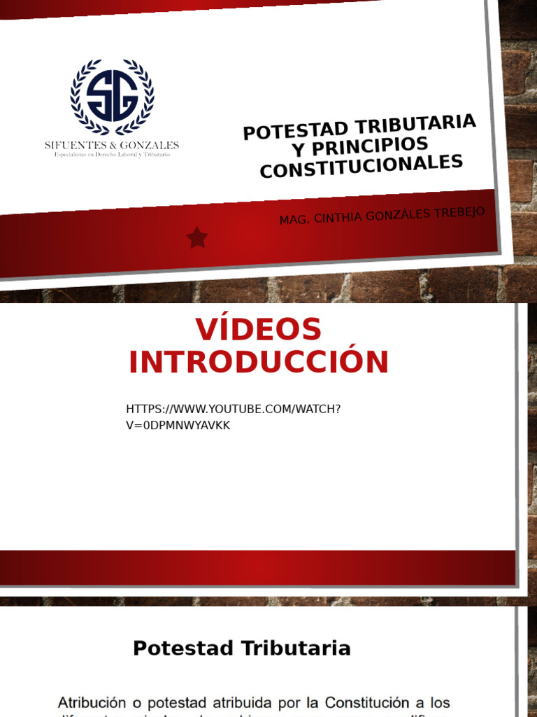 Potestad Tributaria y Principios Constitucionales | PDF