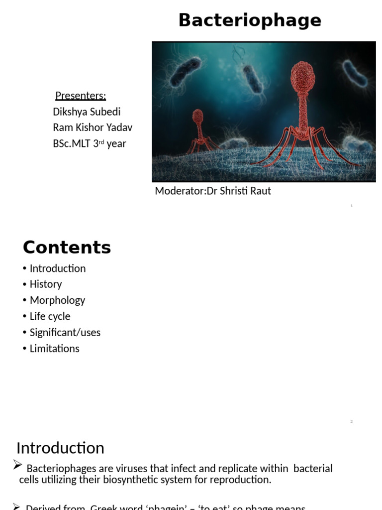 Overview of Bacteriophages | PDF | Bacteriophage | Virus