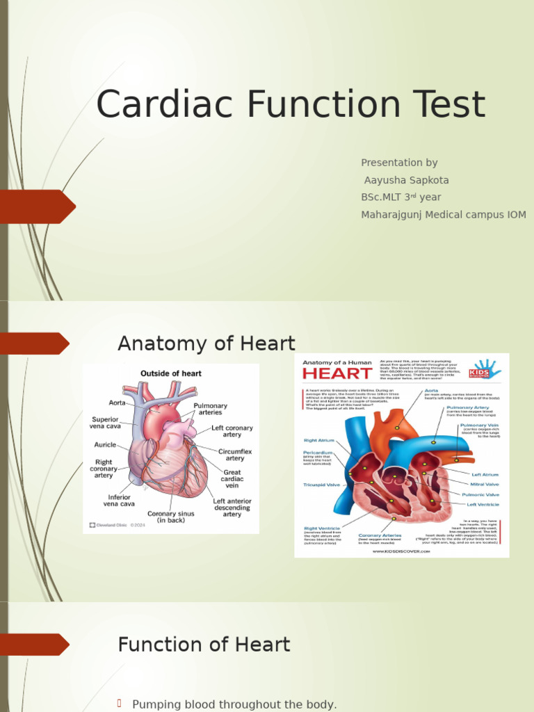 Cardiac Function Test | PDF | Lactate Dehydrogenase | Heart