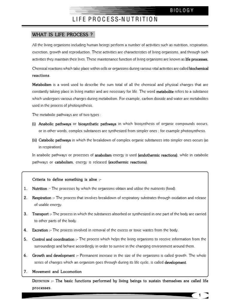 Life Process Nutrition Full Notes | PDF