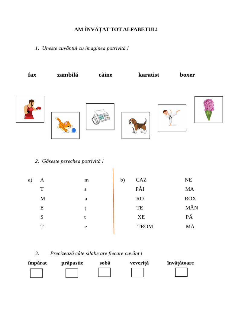 Am Invatat Tot Alfabetul Fisa de Lucru Invatare Remediala | PDF