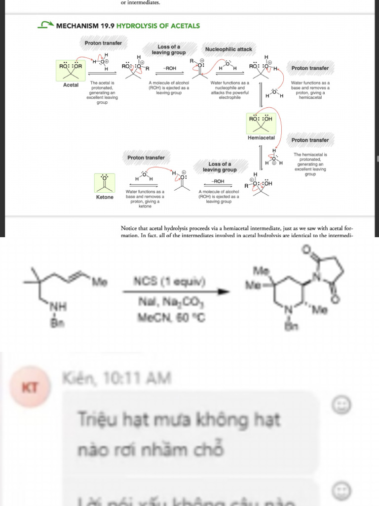 M 7 | PDF