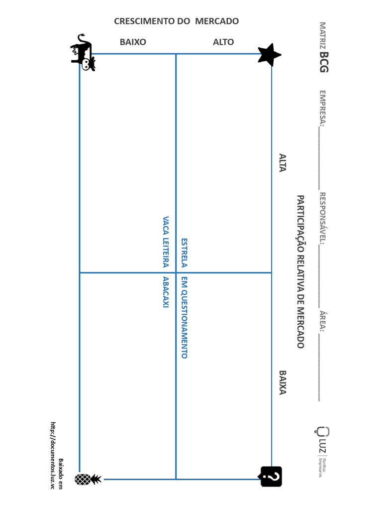 Matriz BCG Para Impressão | PDF
