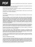 Carta de Opinion