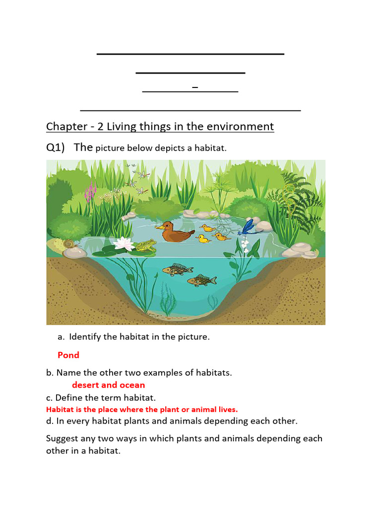 6 Science Worksheet 4 With Answers | PDF | Foods | Photosynthesis