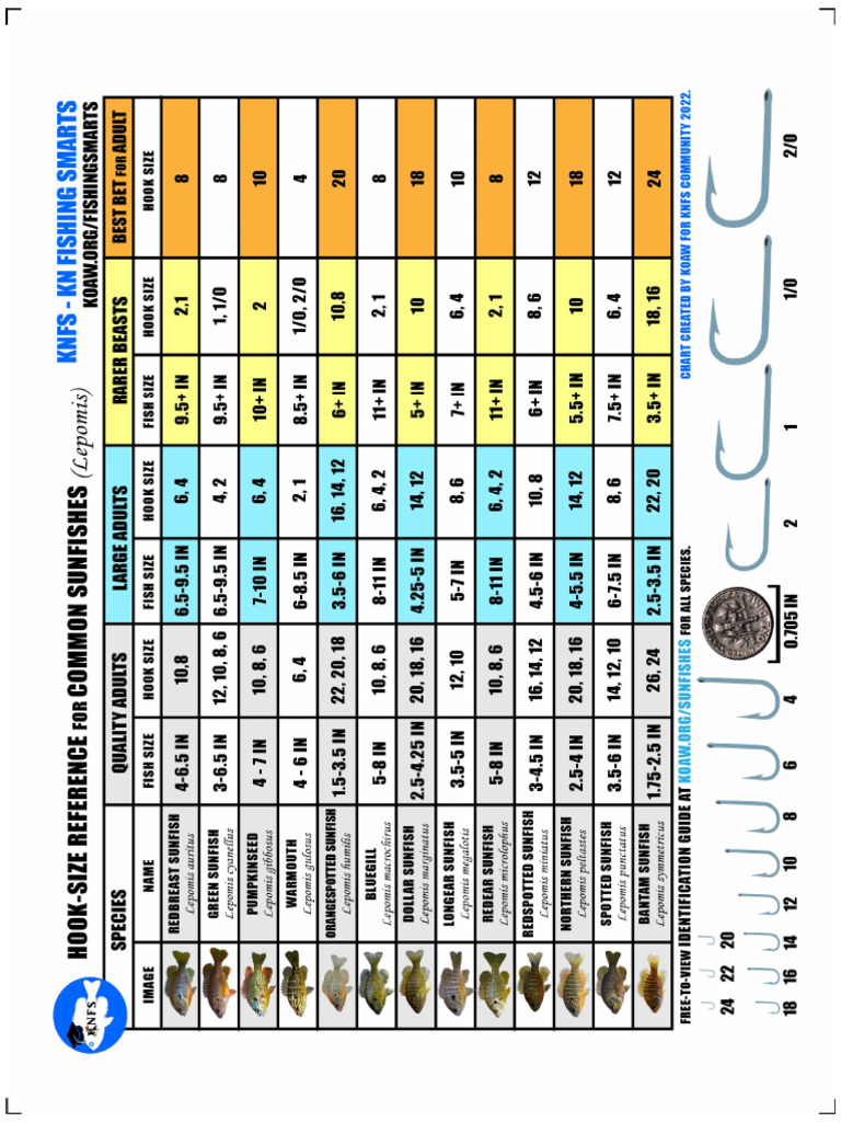 Hook Sizes For Common Sunfishes KNFS 4print Actual Size With Color | PDF