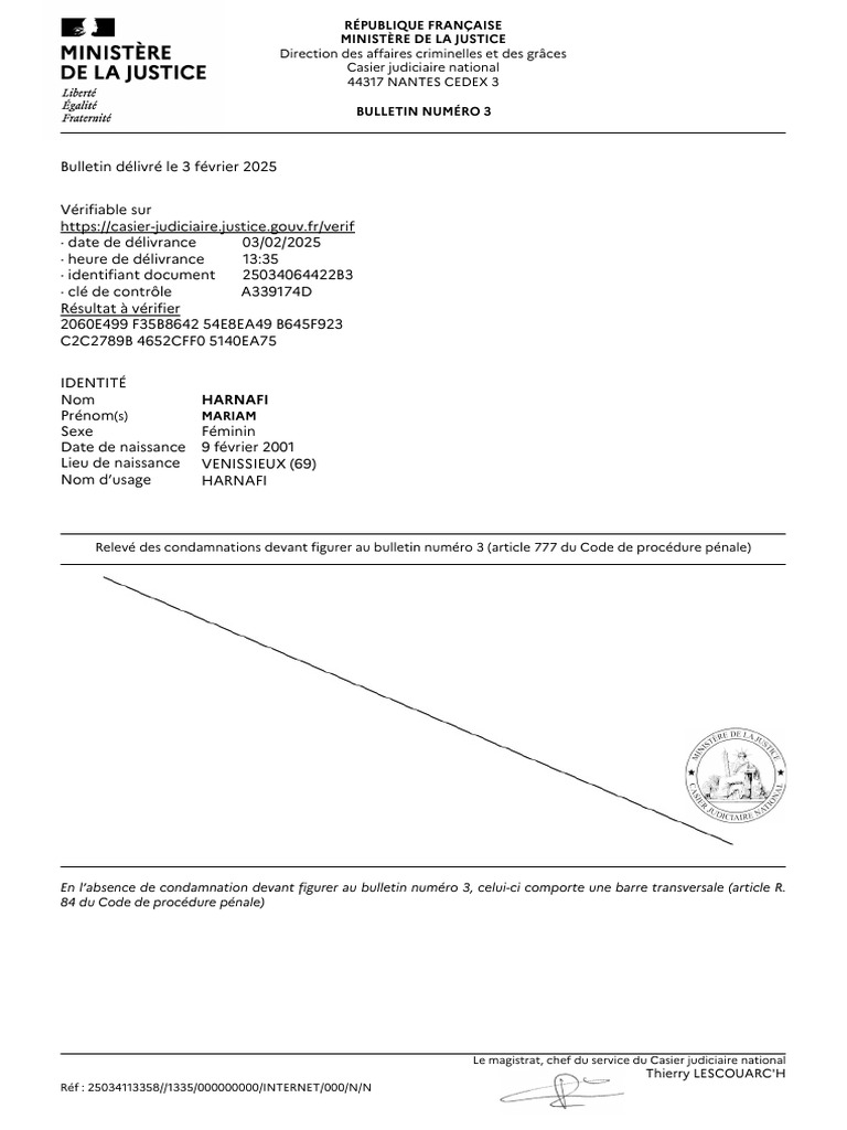 Bulletin n°3 Casier Judiciaire Français | PDF | Union européenne | Justice