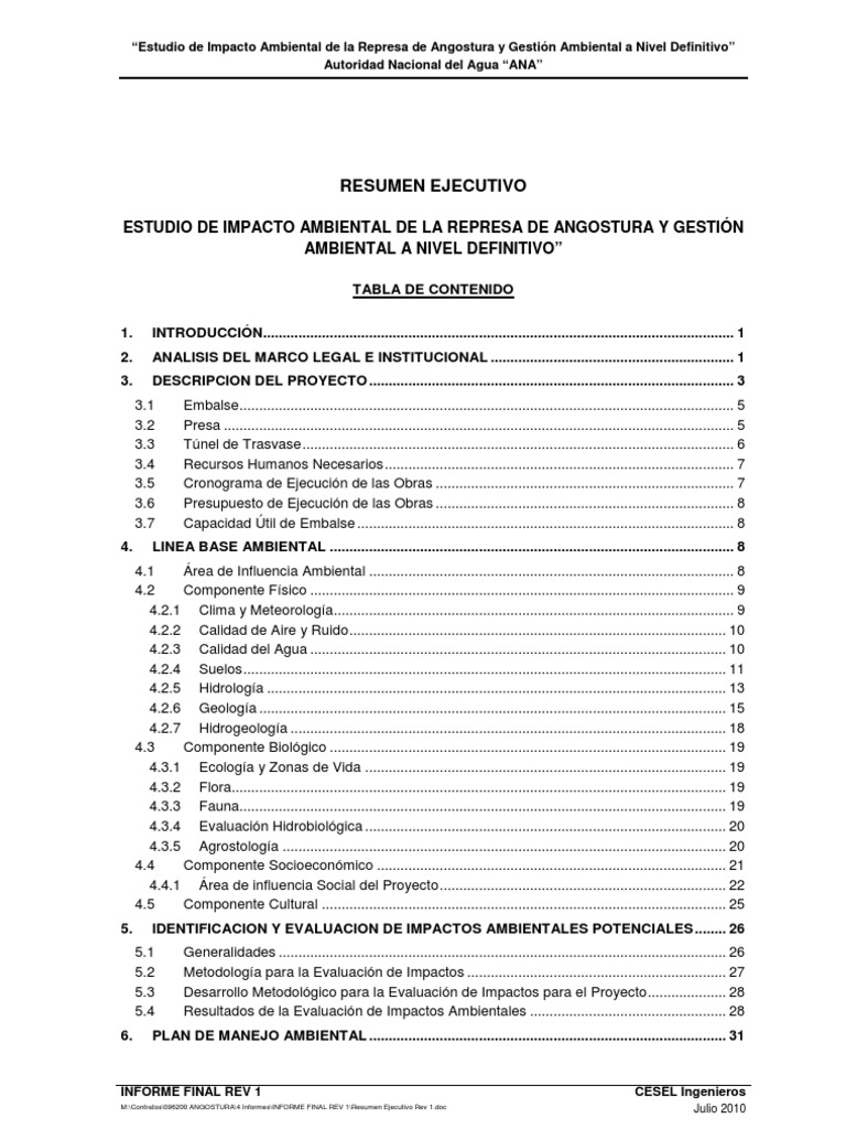 Impacto Ambiental Represa Angostura | PDF | Evaluación de impacto ...