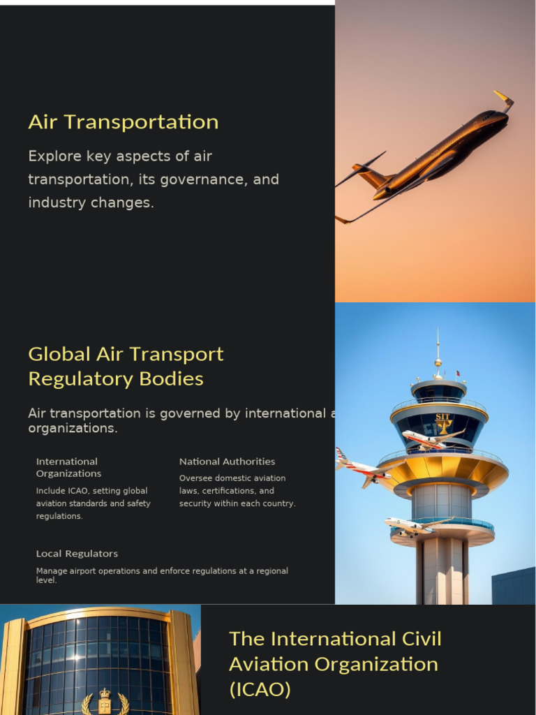 Air Transportation Governance and Impact | PDF | Aviation | Transport