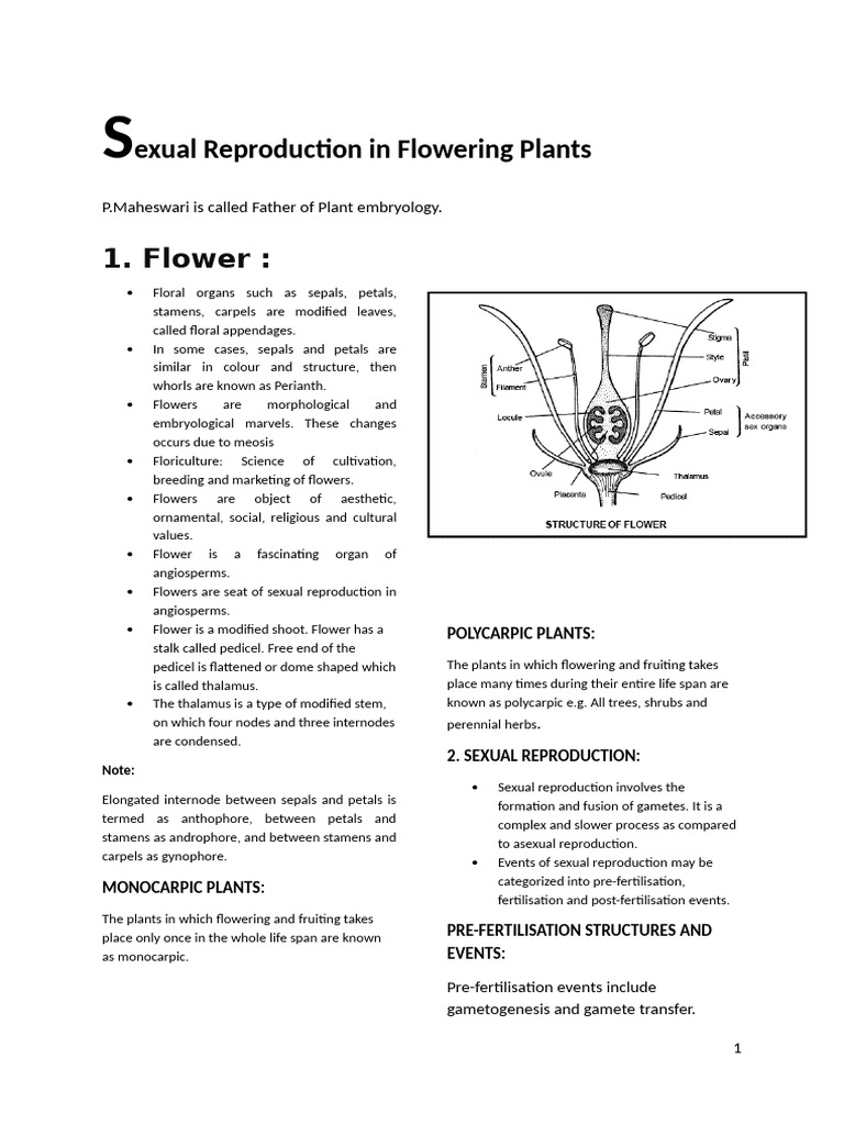 Sexual Reproduction in Flowering Plants | PDF | Flowers | Pollen