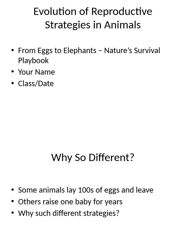 Animal Reproductive Strategies Explained | PDF