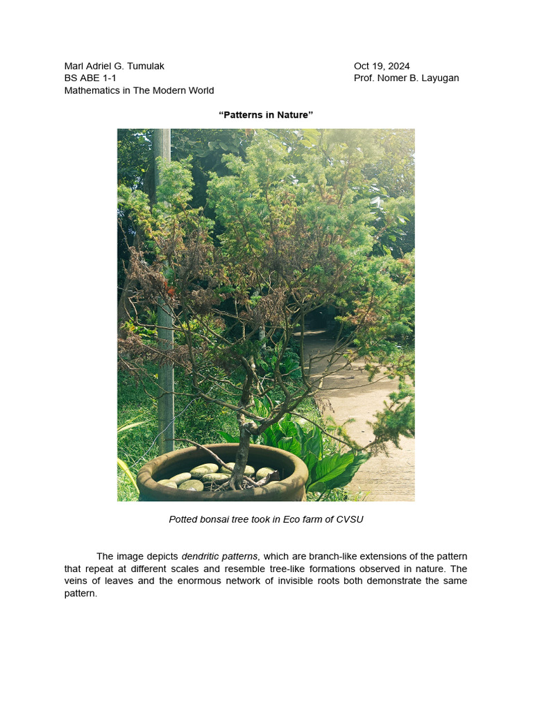 MMW Ass. Patterns in Nature | PDF