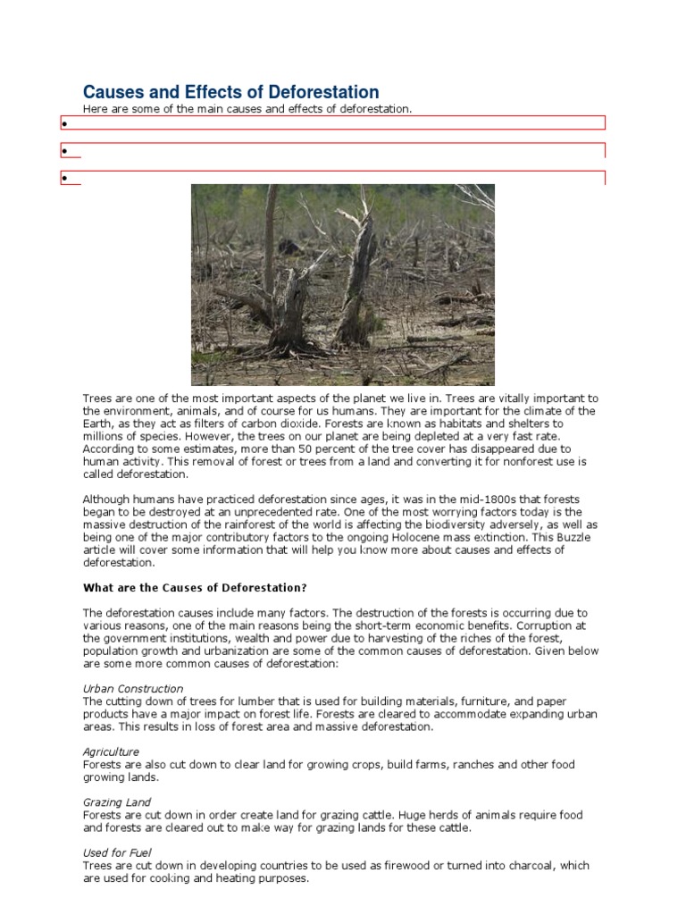 effects of deforestation essay