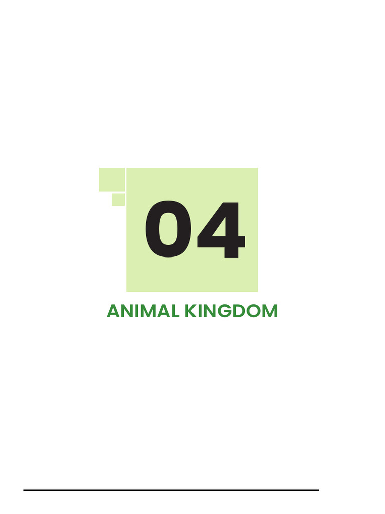 Class 11 Animal Kingdom Overview | PDF | Sponge | Mollusca