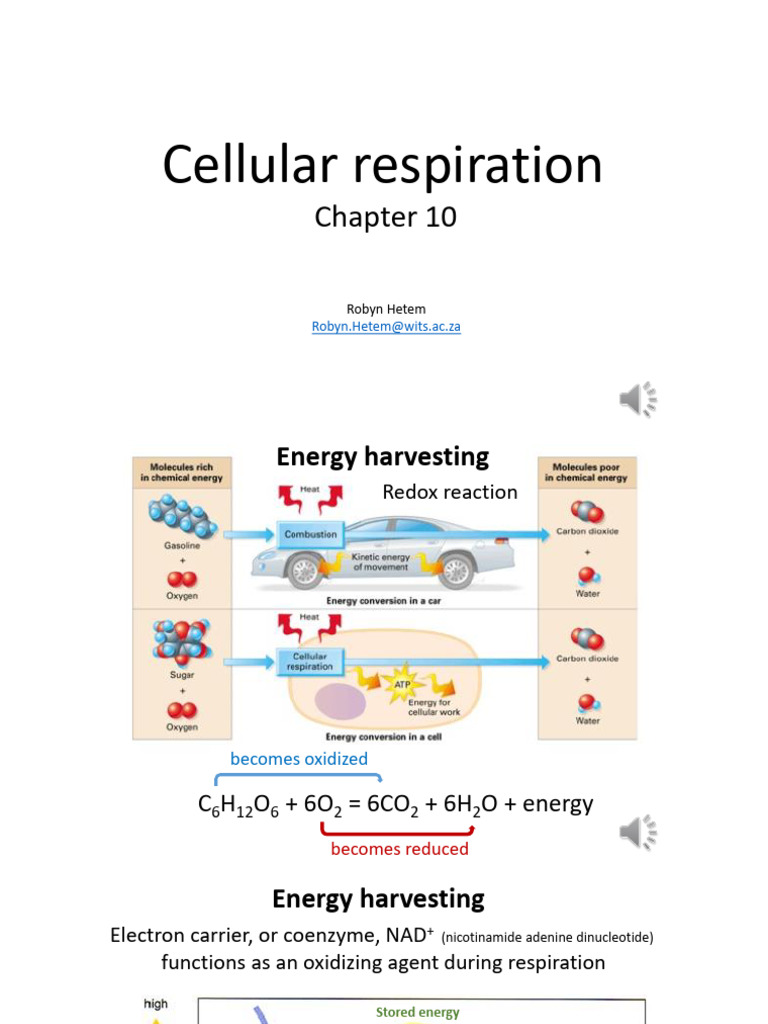 Cellular respiration _ energy harvesting | PDF