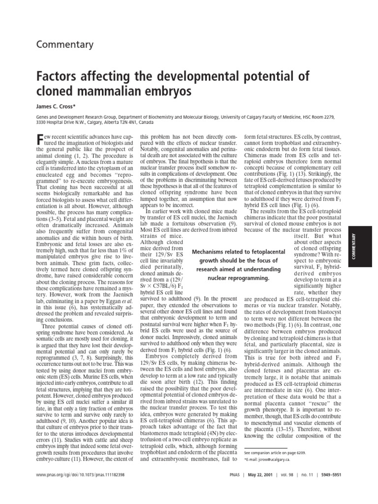 Cloned Mammalian Embryo Development Factors | PDF | Cloning | Embryonic ...