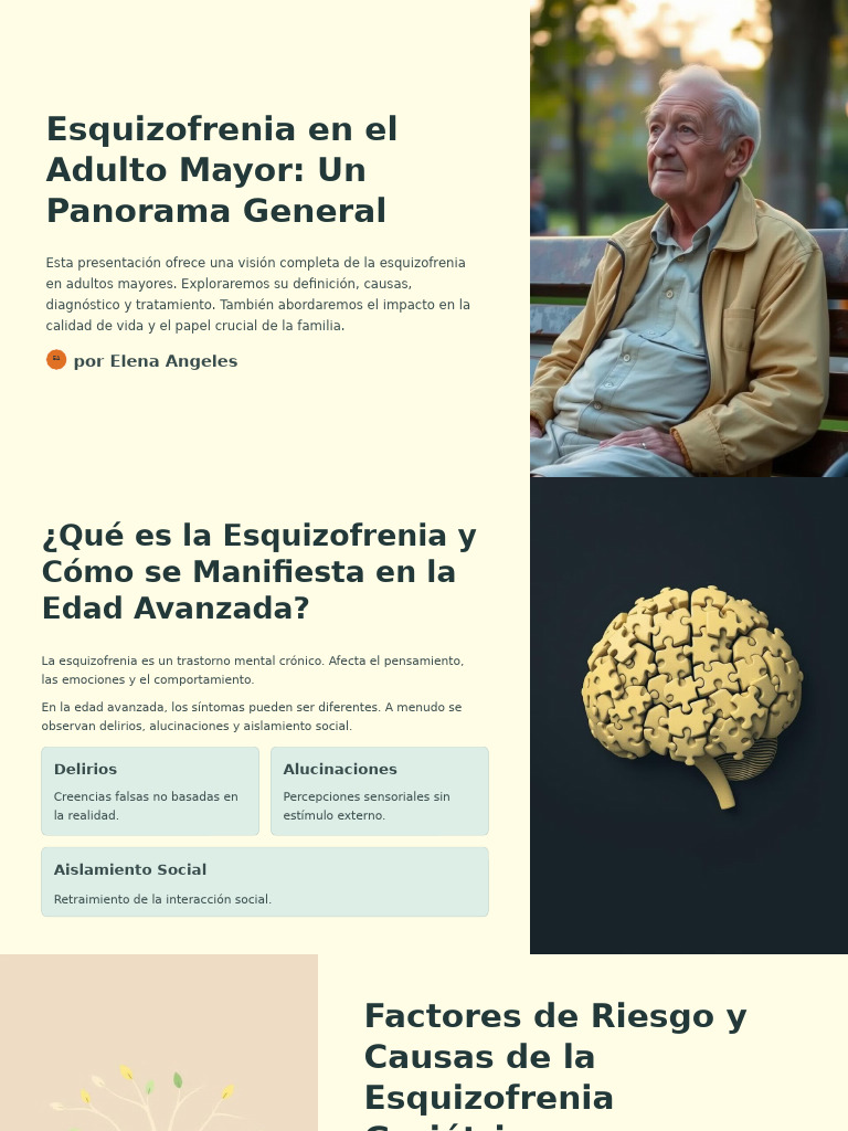 Esquizofrenia en Adultos Mayores: Guía Integral | PDF | Esquizofrenia ...