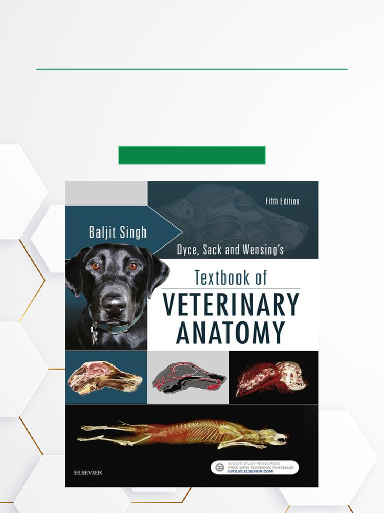 Anatomía visual data 5