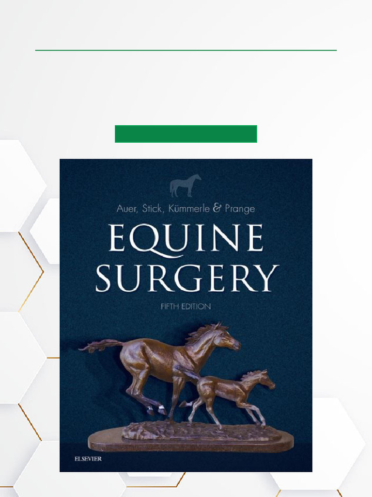 Surgical Complications and Management Strategies，An issue of Veterinary Clinics: Equine Practice (Volume 24-3) (The Clinics: Veterinary Medicine，Volume 24-3) [ハードカバー] Goodrich DVM  MS  PhD，Laurie 9780323484206.jpg