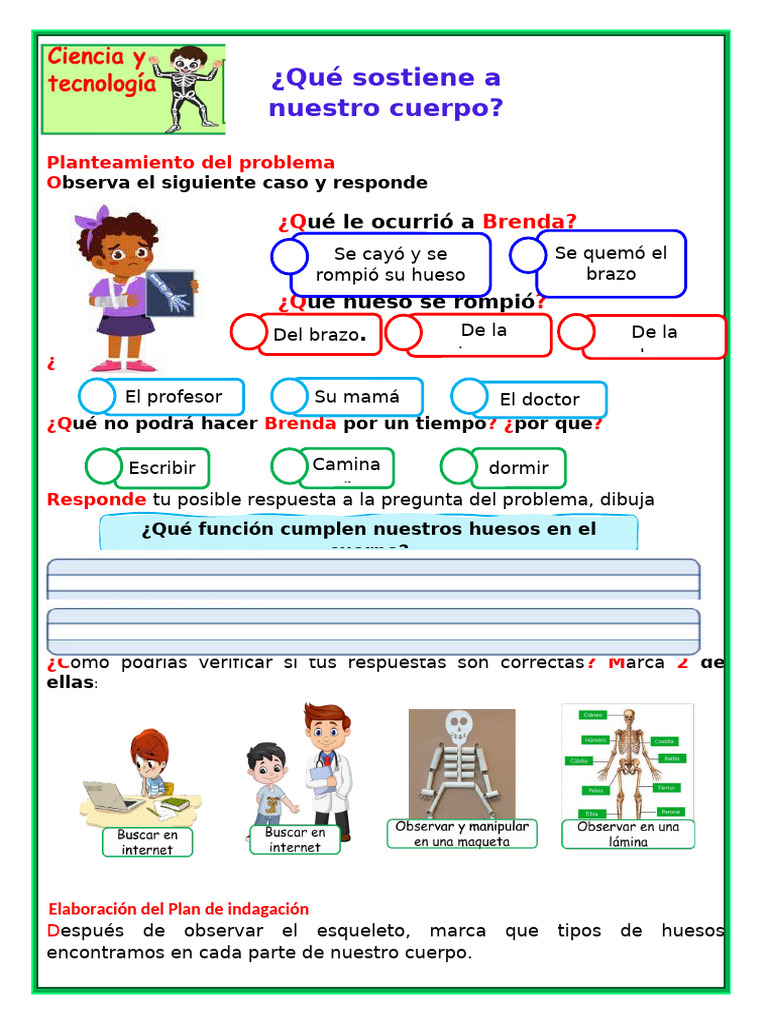 Ficha 2do Grado Ciencia y Tecnologia | PDF | Hueso | Esqueleto