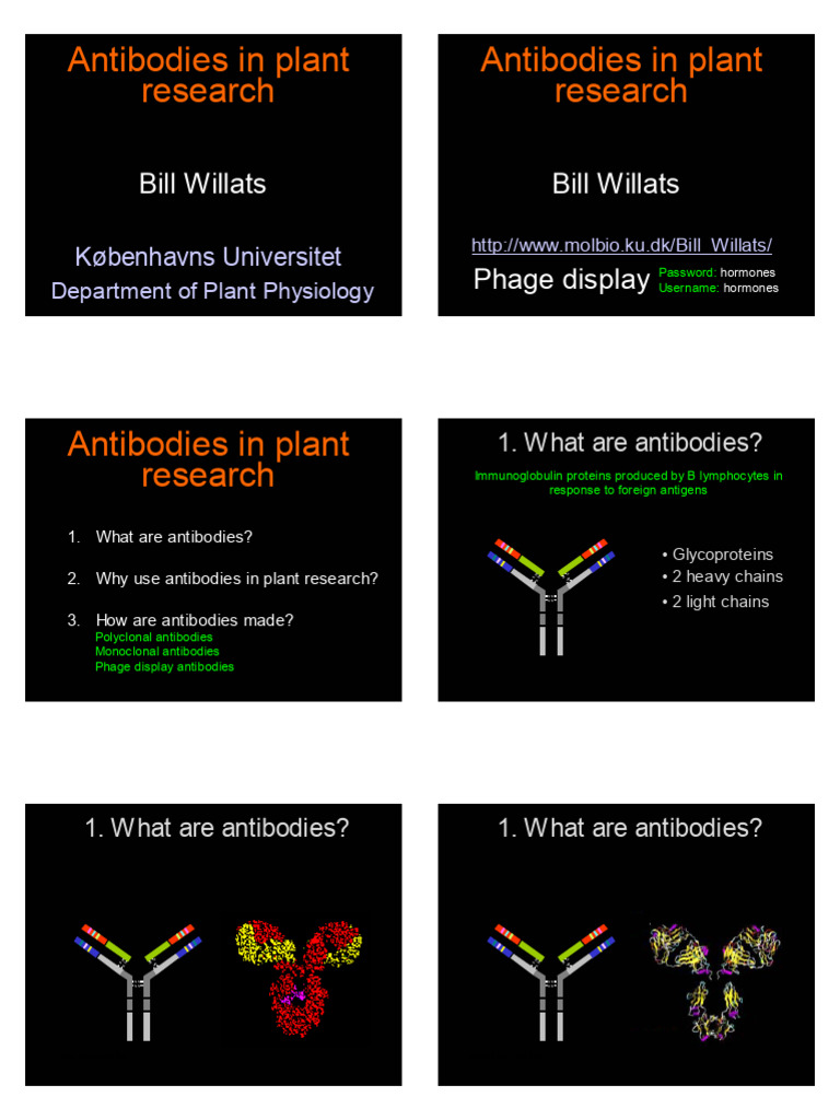 Applications of Monoclonal Antibodies | PDF | Antibody | Monoclonal ...