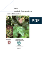 Fao - Manual Tecnico - Manejo Integrado de Enfermedades en Cultivos Hidroponicos - Parte 1