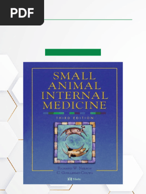 【裁断済】Small Animal Internal Medicine 1-4 Amazon | Small Animal Internal Medicine, 4e | Nelson DVM