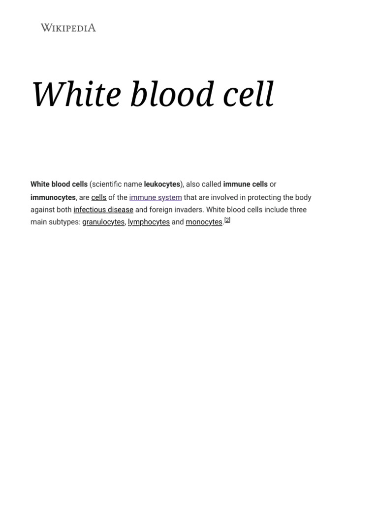 Overview of White Blood Cells | PDF | White Blood Cell | Granulocyte