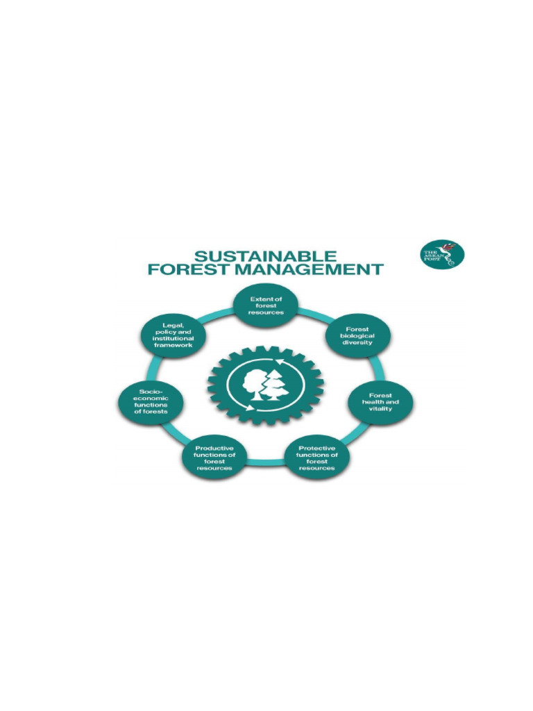 Sustainable Forest Management Overview | PDF | Ecosystem | Ecology