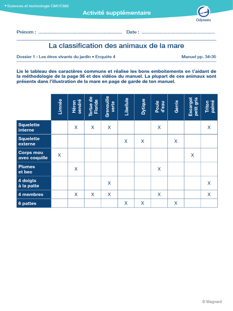 Classification des animaux de la mare CM1 | PDF | Zoologie