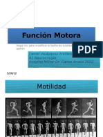 Función Motora