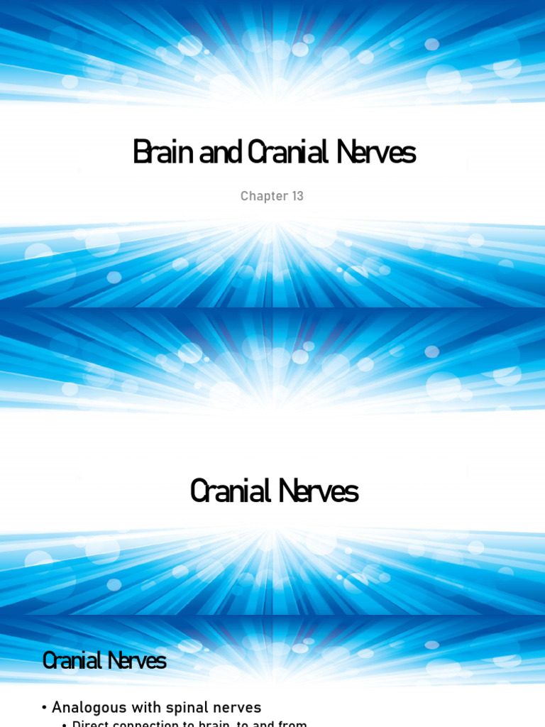Ch+13+Brain+and+Cranial+Nerves+Part+1 | PDF | Brainstem | Neuroscience