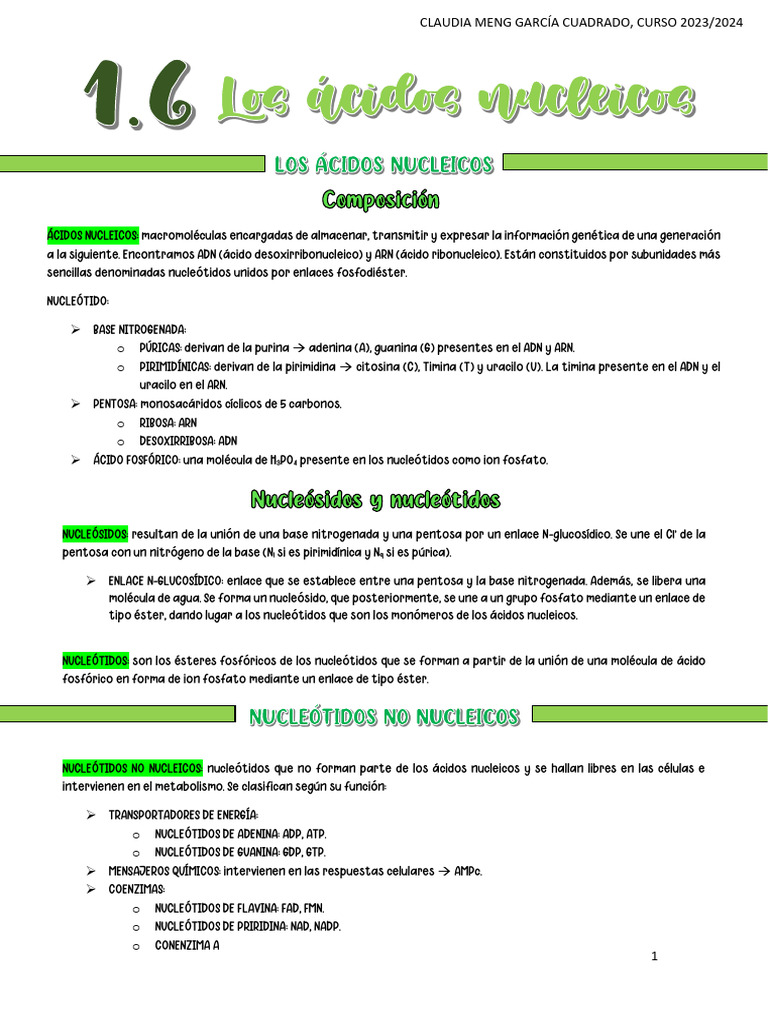1.6 Nucleótidos y Ácidos Nucleicos | PDF | Rna | Adn