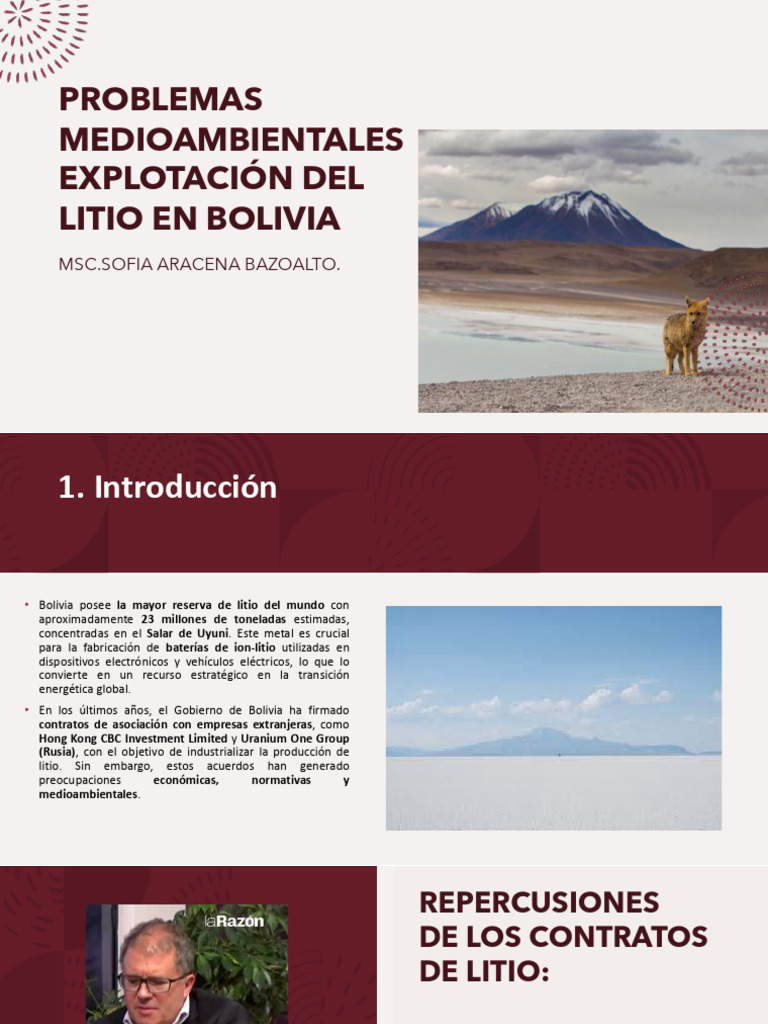 Problemas Ambientales del Litio en Bolivia | PDF | Evaluación de ...