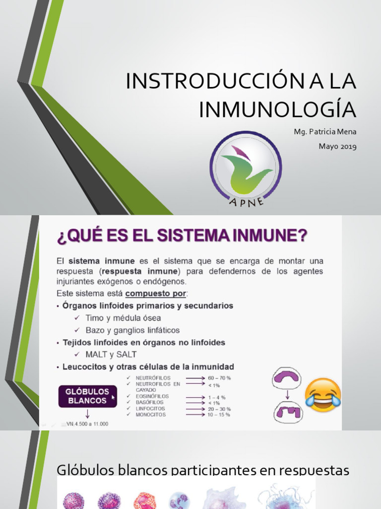 07 Inmunmologia NIVEL II BIO | PDF | Sistema inmune | Anticuerpo