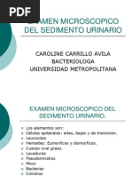 Examen Microscopico Del Sedimento Urinario Mio