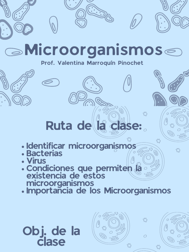 Tipos y Importancia de Microorganismos | PDF | Las bacterias | Virus