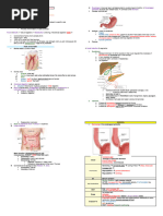 Gastrointestinal Root Words and Terms | PDF | Gastrointestinal Tract ...
