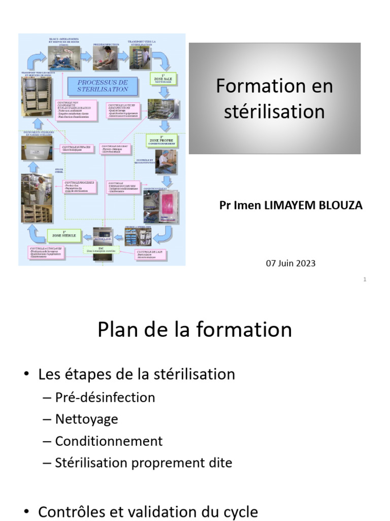 Formation sur la stérilisation des DM | PDF | Stérilisation ...