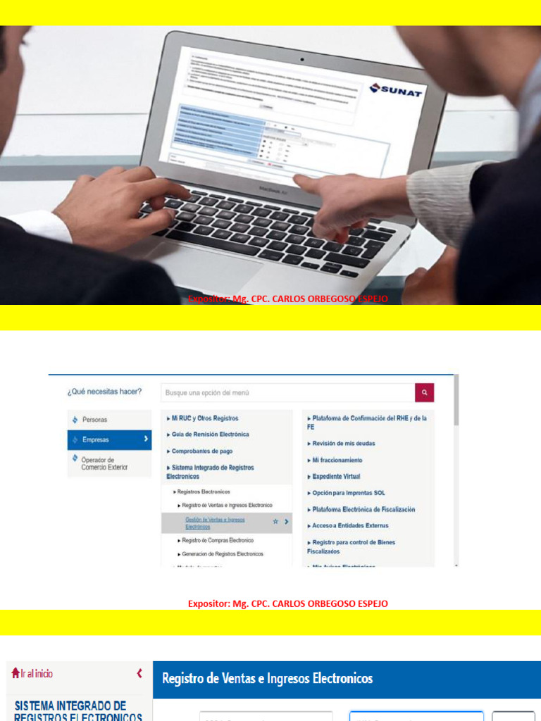 Cómo declarar SIRE sin movimiento | PDF