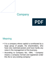 Company Types and Differences