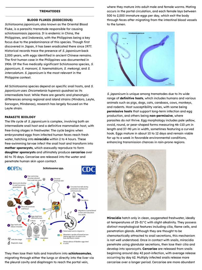 Belizario Clinical Parasitology - TREMATODES | PDF | Medical Specialties