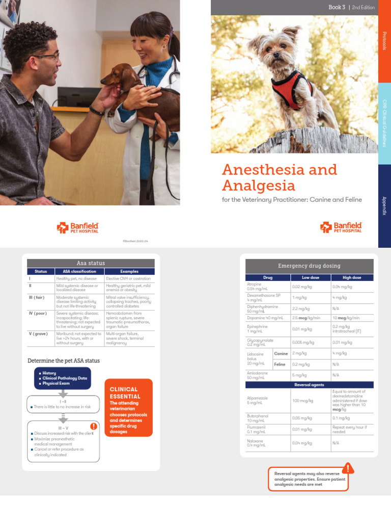 Veterinary Anesthesia Drug Protocols | PDF | Anesthesia | Analgesic