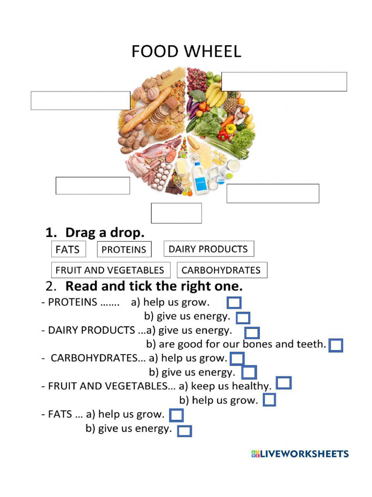 Food Wheel | PDF